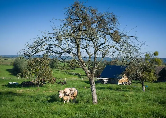 Modern Townhouse In With Secure Parking Honfleur